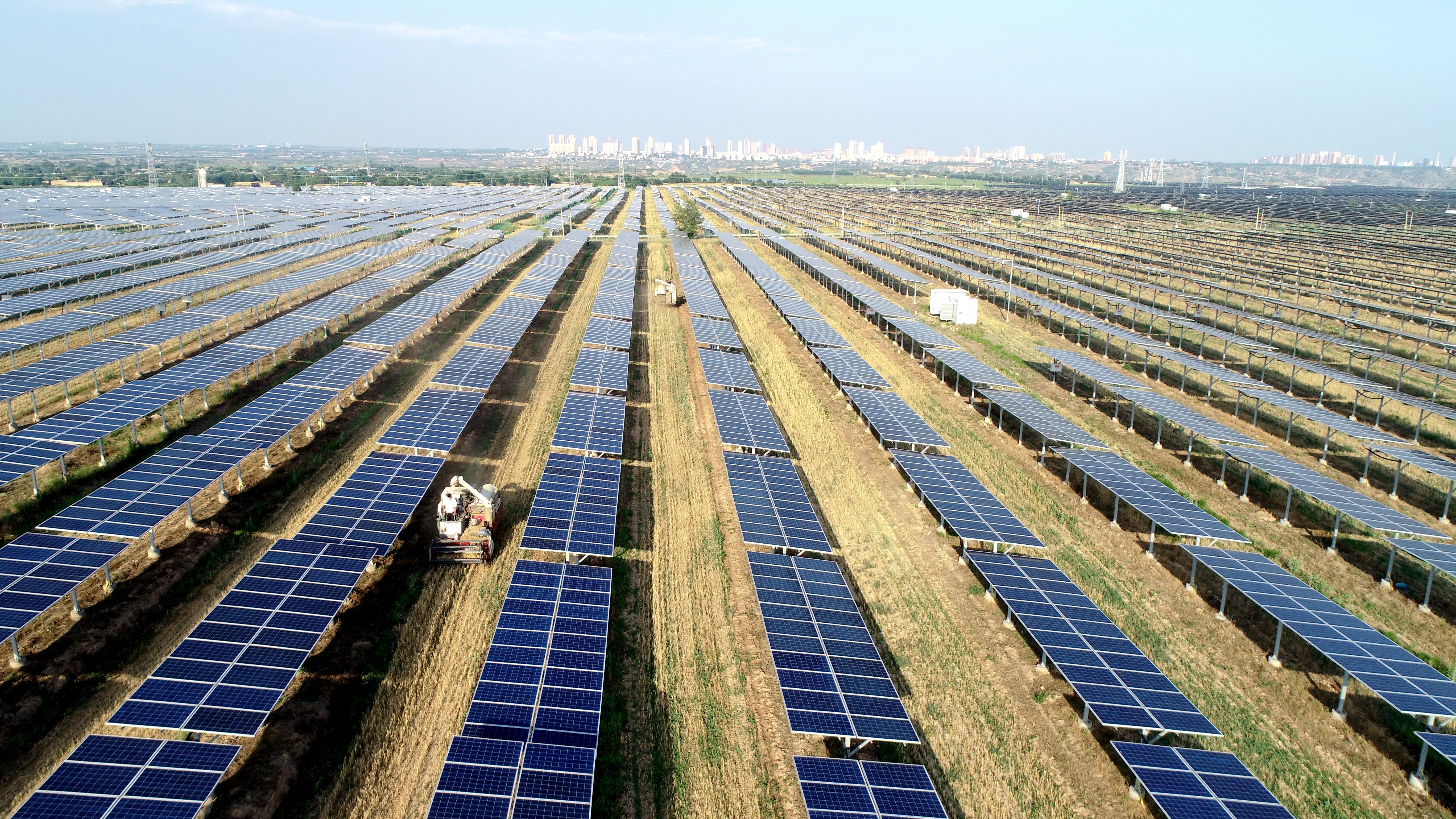 2.大唐澄城安里10萬千瓦農光互補光伏電站采取“農光互補”模式，不僅大大提高土地綜合利用率，還帶動當地村民在家門口就業，促進農民增收。任永紅攝 .jpg